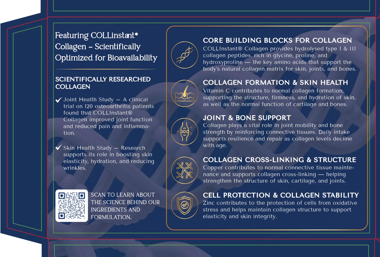 Dieline explained: how to read the blueprint behind every box